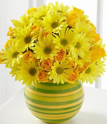 fiori gialli in vaso