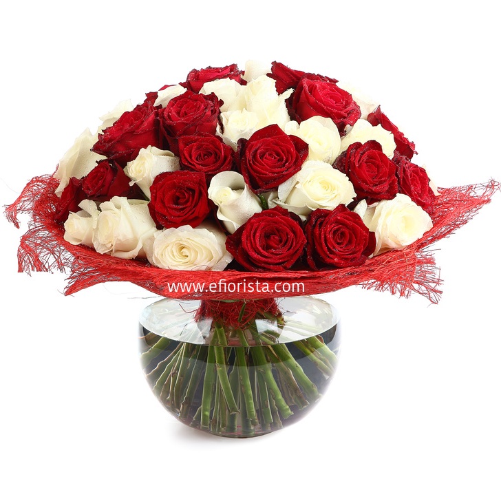 cinquanta rose rosse e bianche in vaso