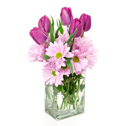 composizione di tulipani e gerbere rosa